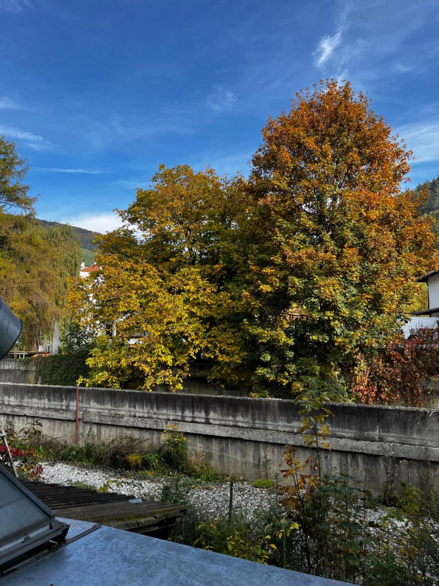Gasthof Sterzingerhof Exterior photo